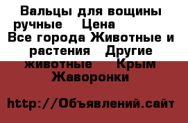 Вальцы для вощины ручные  › Цена ­ 10 000 - Все города Животные и растения » Другие животные   . Крым,Жаворонки